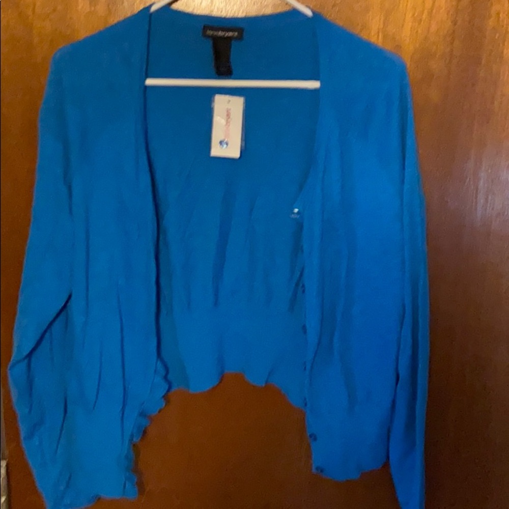 Lane Bryant blue light sweater
